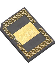 PP-DMD-003_1.jpg