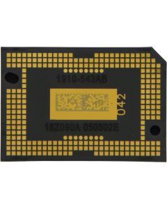 PP-DMD-009.jpg