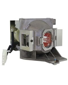 QL1079_1.jpg