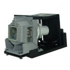 Lampe Complète PrimeLamp TLPLW15, 01-00247 / TLPLSB20 (#GM0135)