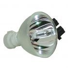 Lampe Seule d'Origine Phoenix (SHP) (#OB0010)
