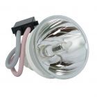 Lampe Seule d'Origine Phoenix (SHP) (#OB0066)