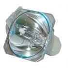Lampe Seule d'Origine Phoenix (SHP) (#OB0093)