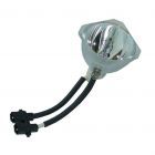 Lampe Seule d'Origine Phoenix (SHP) (#OB0162)