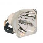 Lampe Seule d'Origine Ushio (NSH) (#OB0173)