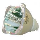 Lampe Seule d'Origine Philips (UHP) (#OB0228)