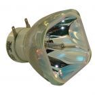 Lampe Seule d'Origine  (#OB0238)