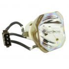 Lampe Seule d'Origine Ushio (NSHA) (#OB0252)
