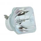 Lampe Seule d'Origine Ushio (NSHA) (#OB0253)