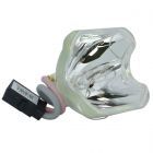 Lampe Seule d'Origine Phoenix (SHP) (#OB0257)