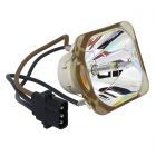 Lampe Seule d'Origine Ushio (NSHA) (#OB0430)