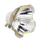 Lampe Seule d'Origine Ushio (NSHA) (#OB0445)